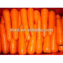 дешевые морковный коробка 10kg свежий морковный комбайн